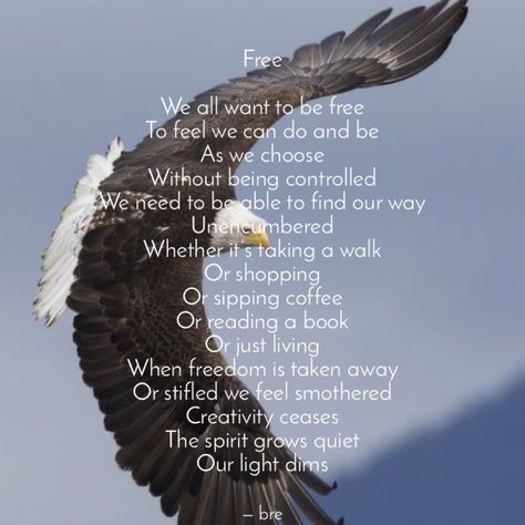 Poem poetry freedom writing Poetry Freedom, Pumpkin Poem, Bald Eagle, Words Quotes, Books To Read, This Is Us, Poetry, Take That, Writing