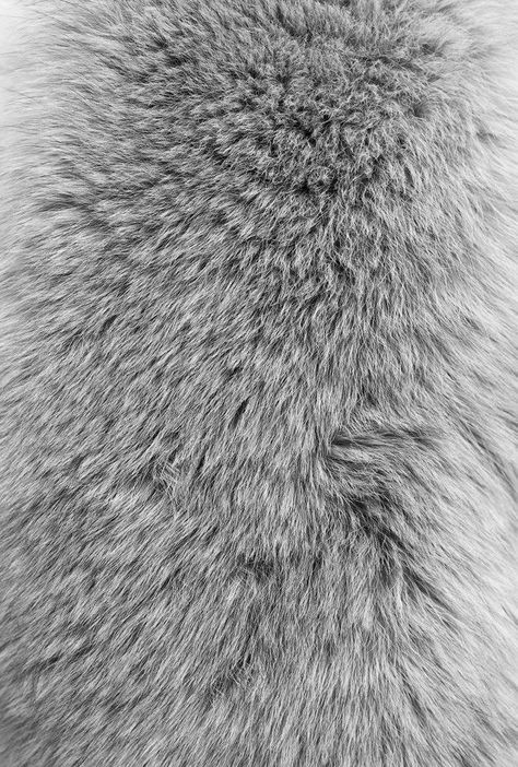 Grey Hair Texture, Wallpaper Crafts, Fur Blanket, Black Wallpaper Iphone, Faux Fur Fabric, Cute Patterns Wallpaper, Dieselpunk, Drawing Challenge, Black Wallpaper