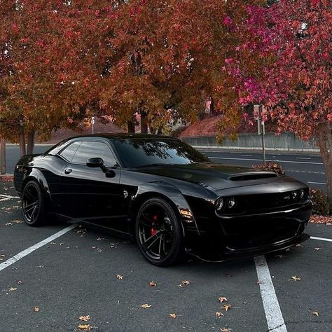 American Classic Cars | Dodge Challenger SRT Hellcat 💣 | Facebook Cars Dodge Challenger, Black Dodge Charger, Dodge Challenger Scat Pack, Tmax Yamaha, Dodge Challenger Hellcat, Modern Muscle Cars, Challenger Srt Hellcat, Dream Car Garage, Dodge Challenger Srt Hellcat