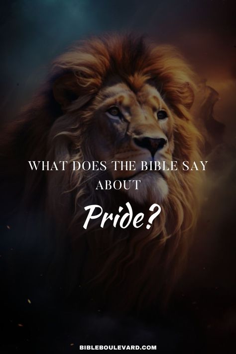 What Does the Bible Say About Pride? Pride In The Bible, Bible Verses For Kids, A Barrier, Bible Devotions, Bible Verses Quotes Inspirational, Verse Quotes, S Word, Bible Verses Quotes, The Bible