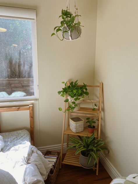 Light Wood And Plants Bedroom, Mid Century Modern Bedroom Plants, Minimalist Plant Room Aesthetic, Plant Based Room, White Room With Plants, Plant Parent Aesthetic, Room Plant Aesthetic, Green Plant Room, Plant Aesthetic Bedroom