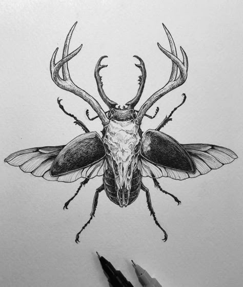 Tattoo Deer Skull, Tattoo Deer, Pointillism Tattoo, Nature Drawing Ideas, 42 Tattoo, Beetle Tattoo, Tattoo Snake, Tattoo Shading, Mushroom Tattoos