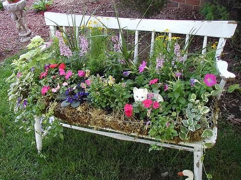 Love this bench and old chairs with flowers planted in them. Funny Vine, Jardim Diy, Vintage Garden Decor, Garden Containers, Creative Gardening, Unique Gardens, Container Flowers, Garden Bench, Vintage Garden