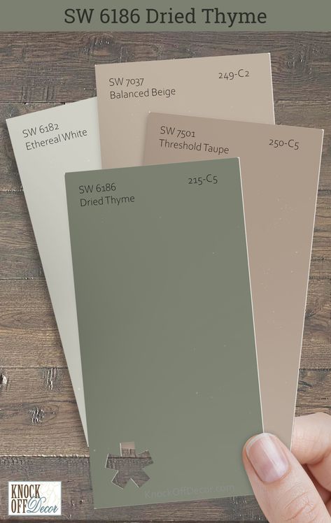 Sherwin Williams Dried Thyme is a hue that invites relaxation into any space. I'm delighted to share my insights on the colors that best complement it such as here with SW Threshold Taupe, Balanced Beige, and Ethereal White. My full review details the more incredible palettes. Click to find your perfect match! Rustic Room Colors, Painting Ideas For Outside Of House, Sage Green Waynes Coating, Sage Green Dining Room Accent Wall, Sw Threshold Taupe, Wherein Williams Sage Green, Popular Green Sherwin Williams, Tansy Green Sherwin Williams, Sw 6186 Dried Thyme