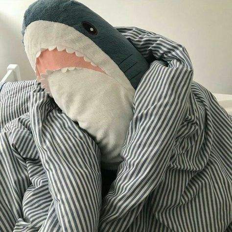 Max Rigel, Shark Plush, Zodiac Academy, Cute Shark, Camp Half Blood, Percy Jackson And The Olympians, Hamsters, Baby Shark, White Aesthetic