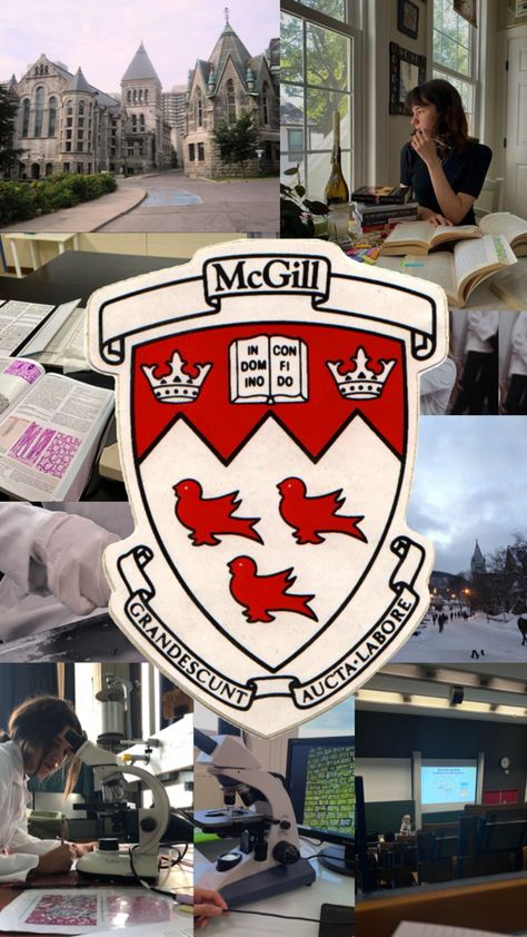 University Aesthetic, Dream Collage, Mcgill University, Dream College, Dream School, University Life, College Application, University Of Toronto, Med School