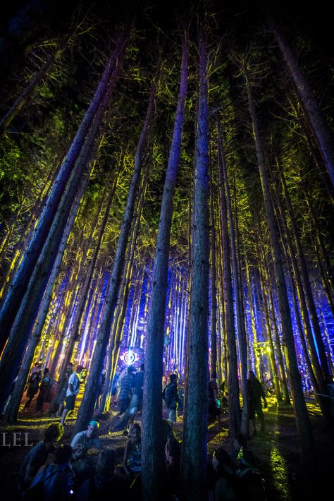 Electric Forest Forest Rave Aesthetic, Wilderness Reserve, Electric Forest Festival, 2024 Moodboard, Forbidden Forest, Techno Party, Forest Party, Easter Event, Forest Light