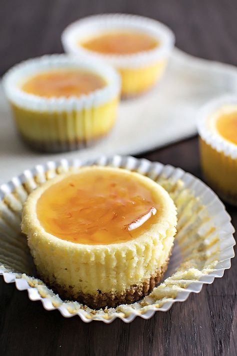 Orange Ricotta, Ricotta Cheesecake, Mini Cheesecake Recipes, Best Cheesecake, Cheesecake Cupcakes, Orange Marmalade, No Bake Bars, Cheesecake Desserts, Cream Cheese Recipes