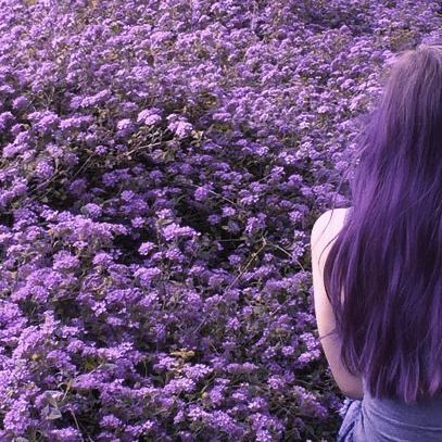 Purple Hair Aesthetic Faceless, Lilac Hair Aesthetic, Purple Hair Girl Aesthetic, Purple Hair Aesthetic, Violet Hair, Purple Vibe, Hair Aesthetic, Purple Girls, All Things Purple