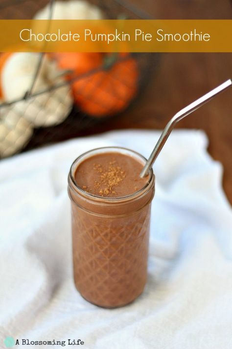 Chocolate Pumpkin Pie Smoothie Pumpkin Protein Shake, Chocolate Pumpkin Pie, Apricot Smoothie, Banana Apple Smoothie, Green Smoothie Challenge, Eat Green, Smart School House, Chocolate Protein Shakes, Kid Recipes