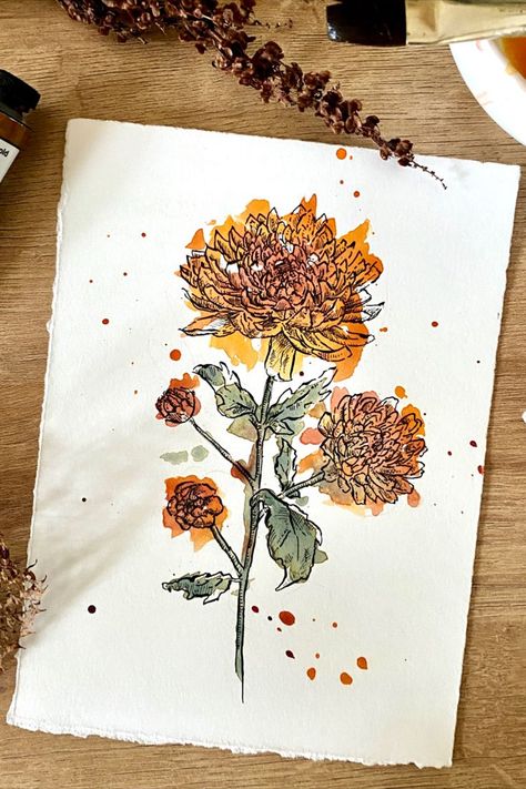 Drawing and Painting of a chrysanthemum. Splashes of orange and green watercolor paint with an accurate ink line drawing of the flower Chrysanthemum Flower Drawing, Chrysanthemum Drawing, Chrysanthemum Watercolor, Chrysanthemum Painting, Tombow Fudenosuke, Flower Pens, Fall Flower, Charcoal Art, Floral Drawing