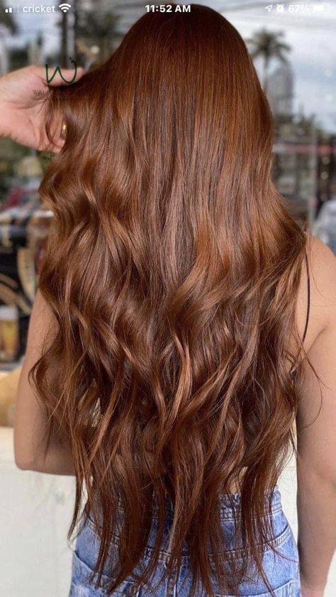 Auburn Hair Color With Dimension, Brown Base With Red Highlights, Brown To Auburn Hair Before And After, Spicy Cinnamon Hair Color, Chestnut Brown Red Hair, Light Brown Auburn Hair Color, Solid Auburn Hair Color, Brick Brown Hair Color, Long Reddish Brown Hair