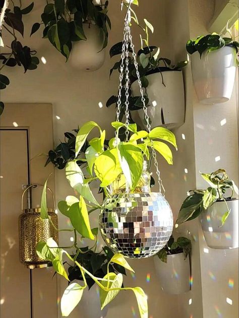 1pc Disco Ball Shaped Hanging PlanterI discovered amazing products on SHEIN.com, come check them out! Disco Plant Holder, Plant In Disco Ball, Disco Ball Pot, Cute Plant Holders, Mirrorball Planter, Aesthetic Plant Pots, Disco Balls Aesthetic, Plant Hanging Ideas, Hanging Ceiling Decor