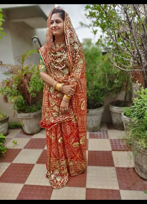 Darbari Sari, Darbari Sarees, Bride Choli, Rajput Poshak, Rajputana Culture, Gender Chart, Casual Blouse Designs, Rajasthani Bride, Watermelon Cocktail