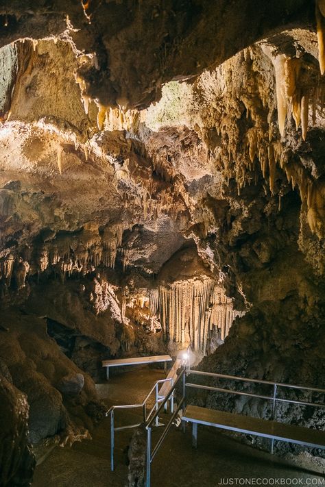 Lake Shasta Caverns, California Places To Visit, Lake Shasta, Shasta Lake, Natural Cave, Bat Cave, Mount Shasta, Amazing Places On Earth, Birthday Trip