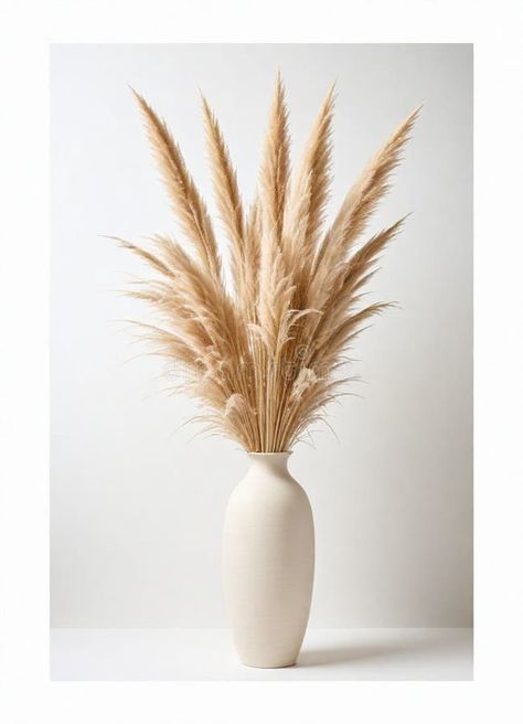 Tan vase with feathers and pampas on it stock image Pampass Grass Vase, Pampas In Vase Decor, Pampas Grass Decor Floor Vase, Pampas Grass In Basket, Pampas Arrangement Vase, Boohoo Bedroom, Pampas Grass In Vase, Pampas Deco, Vase With Feathers