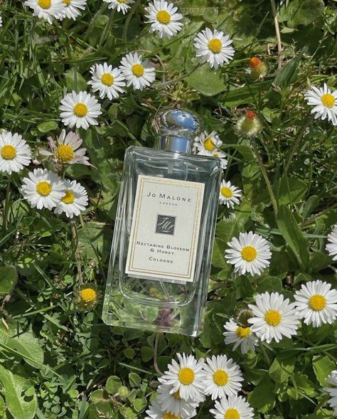 Perfume Outdoor Photoshoot, Green Perfume Photography, Product Photography Website, Floral Perfume Aesthetic, Mint Moodboard, Luxury Perfume Packaging, Spring Perfume, Essential Oil Perfumes Recipes, Summer Perfume