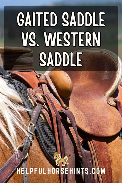 A saddle enhances rider performance and makes your riding experience comfortable. Two factors are essential in your saddle choice—the horse type (gaited or non-gaited) and discipline. Gaited and Western saddles are common today but have distinct features. Explore the characteristics, uses, and benefits of Western and gaited saddles and their differences from this post. #western #english #pads #drawing #aesthetic #helpfulhorsehints Horse Riding Tips, Western Saddles, Drawing Aesthetic, Types Of Horses, Western Riding, All About Horses, Western Saddle, Barrel Racing, Horse Saddles