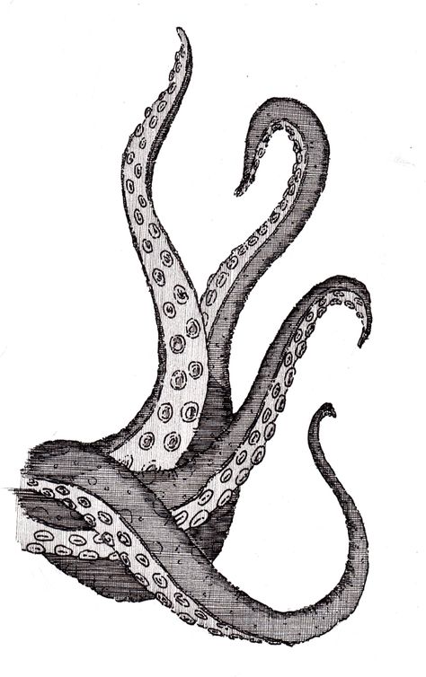 Tentacles Octopus Tentacles Drawing, Legs Drawing, Octopus Legs, Octopus Drawing, Octopus Illustration, Drawing Legs, Octopus Tattoo, Octopus Art, Matte Painting