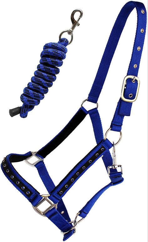 Horse Halter, Lead Rope, Equestrian Sports, Color Crystal, Rodeo, Royal Blue, Color Matching, Horses, Blue