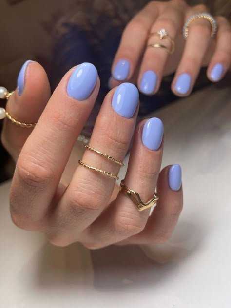 Nail Color Inspo 2024, Short Solid Nails, Solid Colour Nail Ideas, Dip Nails Purple, Short Solid Color Nails, Perrywinkle Nails, Periwinkle Blue Nails, Dip Polish Nails, Purple Blue Nails