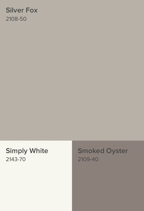 Smoked Oyster Paint Color, Benjamin Moore Smoked Oyster, Smoked Oyster Benjamin Moore, Smoked Oyster Paint, Stone Hearth Benjamin Moore, Smoked Oysters, Crafting Room, Empty House, Mid Century Exterior