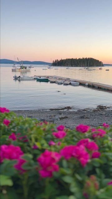 Andrea on Instagram: "Summertime in Coastal Maine #MaineThing #Maine #summer #coastalmaine #sorrentomaine #travelreels #mainereels #sunset #sunsetreels #downeast #downeastmaine #visitmaine" Summer Manifestations, Maine Summer, Downeast Maine, Visit Maine, East Coast Travel, Coastal Maine, Spring Aesthetic, Summer 24, Vacation Places