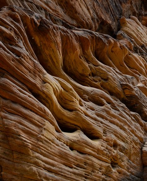 Volcanic Rock Architecture, Rock Textures, Garden Steps, Texture Inspiration, Rock Wall, Volcanic Rock, Stone Texture, Organic Form, Rock Formations