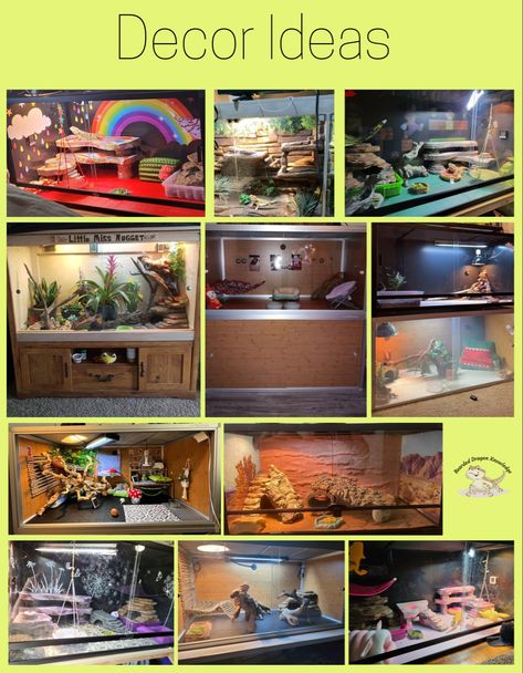 Bearded Dragon Tank Set Up, Dragon Knowledge, Breaded Dragon, Diy Bearded Dragon Enclosure, Bearded Dragon Terrarium Ideas, Bearded Dragon Diy, Animal Enclosures, Bearded Dragon Terrarium, Bearded Dragon Enclosure