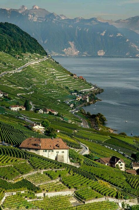 Lausanne Switzerland Lavaux Switzerland, Geographic Features, Switzerland Bern, Alps Switzerland, Voyage Europe, Switzerland Travel, Lake Geneva, Bern, Places Around The World