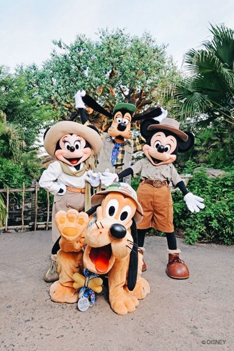 Disney Animal Kingdom, Disney Parque, Disney World Pictures, Disney World Characters, Disney World Florida, Disney Animals, Disney Friends, Disney Day, Disney Aesthetic