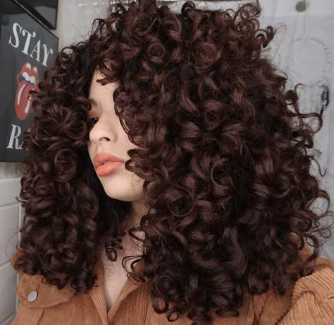 Long Curly Hair Ideas, Curly Hair Ideas, Dyed Curly Hair, Chocolate Brown Hair Color, Brown Hair Looks, Brown Curly Hair, Red Curly Hair, Chocolate Hair, Chocolate Brown Hair