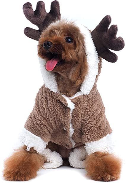 Christmas Reindeer Costume, Halloween Costumes For Pet, Velvet Pajamas, Reindeer Costume, Cat Dressed Up, Reindeer Dog, Merry Christmas Dog, Dog Wrap, Dog Christmas Card