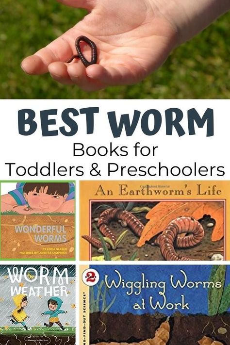 Worms Preschool, Nature Based Play, Best Toddler Books, April Preschool, Books For Toddlers, Read Together, Non Fiction Books, Toddlers And Preschoolers, Preschool Science