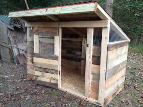 Chicken House Diy, Pallet Chicken Coop, Pallet Coop, Build A Chicken Coop, Chicken Coop Pallets, Easy Chicken Coop, Chicken Barn, Portable Chicken Coop, Chicken Pen