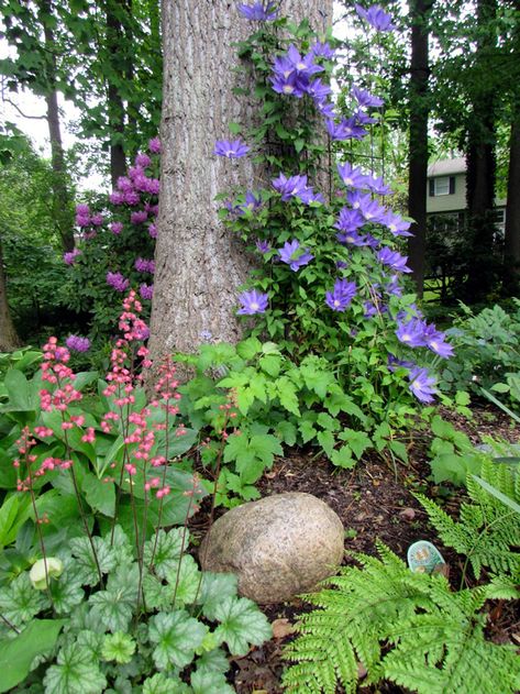 Shade Garden Design, Shade Garden Plants, Garden Design Plans, Garden Types, Forest Garden, Landscape Designs, Have Inspiration, Woodland Garden, Garden Yard Ideas