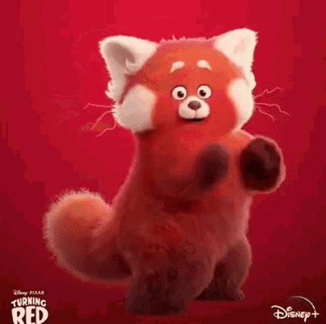 Red Panda Gif, Roses Gif, Rain Gif, Rosé Gif, Love Heart Images, Red Rain, Heart Gif, Wallpaper Earth, Turning Red