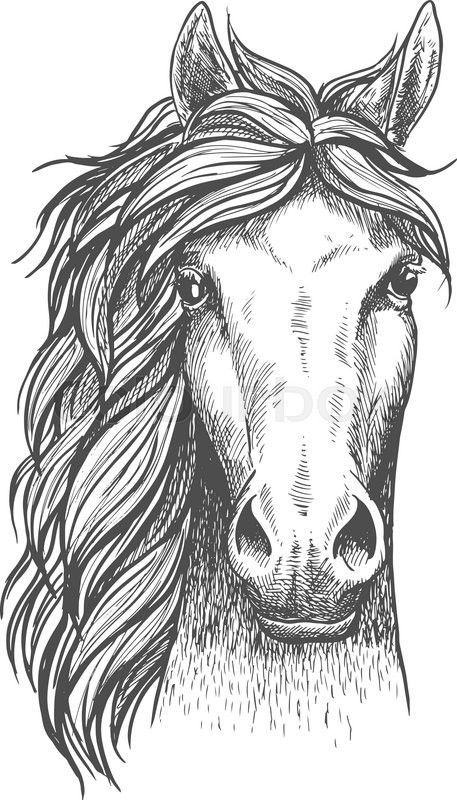 horse shading | Horse drawings, Horse art drawing, Horse art print Horse Face Drawing, Horse Head Drawing, Horse Art Drawing, Pencil Drawings Of Animals, Horse Sketch, Horse Art Print, Horse Coloring Pages, Horse Tattoo, Horse Face