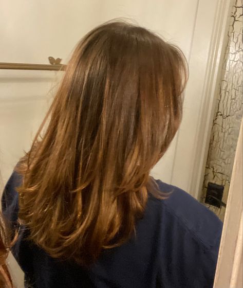 Shoulder Length Hair Fringe, Medium Length With Layers, Brown Hair Medium Length, Hair Cut Lengths, Armpit Length Hair, Brown Mid Length Hair, Brown Hair Medium, Mid Length Straight Hair, Short Light Brown Hair