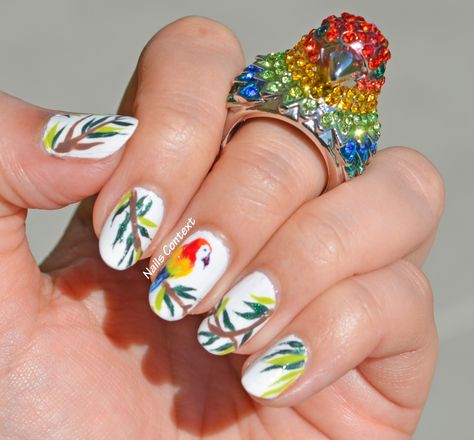 Colorful Parrot Nails with colorful Parrot rings #birdlover #birds #tropical #nailart #nailpolish Macaw Nail Art, Toucan Nails, Parrot Nail Art, Parrot Nails, Cute 4th Of July Nails, Rockabilly Nails, Bird Nails, Jazzy Nails, Bird Nail Art