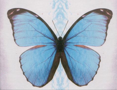 Kami Butterfly, Malice Mizer Tattoo, Kami Tattoo, Blue Butterfly Tattoo, Malice Mizer, Blue Period, Collage Scrapbook, Music Taste, Cover Image