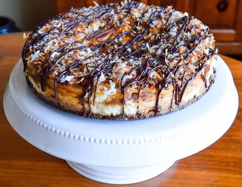 Samoa Cheesecake Recipe – Sugary Logic Samoa Cheesecake, Samoa Cookie, Holiday Cheesecake, Silk Pie Recipe, Cookie Cheesecake, Caramel Delights, Caramel Coconut, Gift Box Cakes, Classic Cheesecake