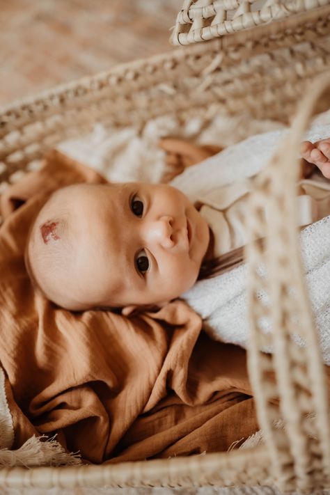 Newborn Moses Basket Photography, Moses Basket Photography, Newborn Moses Basket, Basket Photography, Boho Basket, Newborn Studio, Moses Basket, Newborn Lifestyle, Lifestyle Newborn