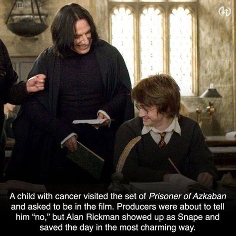 Stories About Alan Rickman From Behind The Scenes Of 'Harry Potter' Severus Snape Fanfiction, Snape Fanfiction, Severus Snape And Lily, Severus Snape Quotes, Snape Funny, Snape Aesthetic, Severus Snape Aesthetic, Severus Snape Hermione Granger, Severus Snape Art