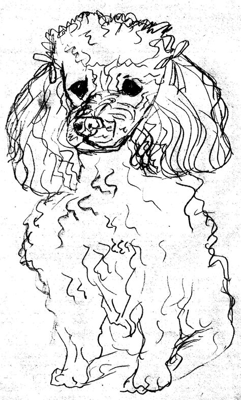 Poodle Art Drawing, Poodle Drawing Easy, Poodle Line Drawing, Toy Poodle Drawing, Poodle Line Art, Poodle Sketch, Wash Drawing, Poodle Drawing, Line Art Tattoo