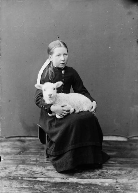 Mary Had A Little Lamb, Photos Of Women, A Girl, Norway, Historical Figures, Animals