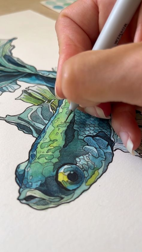 Irene Meniconi | Animal watercolor artist (@irenemeniconi) • Instagram photos and videos Green Betta Fish, Irene Meniconi, White Gouache, Fish Artwork, Animal Watercolor, Watercolor Fish, Ink And Watercolor, Fish Drawings, Seni Cat Air