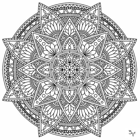 Fineliner Mandala, Mandala Procreate, Rock Crafts, Mandala Coloring, Draw Drawing, Mandala Art, Art Artwork, Decorative Plates, On Instagram