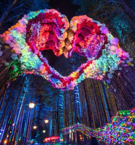 Electric Forest Illuminates Rothbury During 2019 Production | The Nocturnal Times Forest Festival, Electric Forest Festival, Arte Peculiar, Electric Forest, Month Of June, Psy Art, Bass Music, Art Classique, Lukisan Cat Air