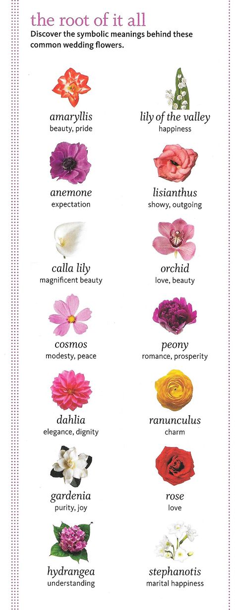 The symbolic meanings behind the most common wedding flowers. They are all so beautiful but I'm really loving dahlias and calla lilies this season! Which flowers are your favorite? Dahlia Meaning, Calla Lily Meaning, Lily Symbolism, Lily Meaning, Champagne Wedding Flowers, Flower Symbolism, Rose Meaning, Floral Photos, Fire Lily